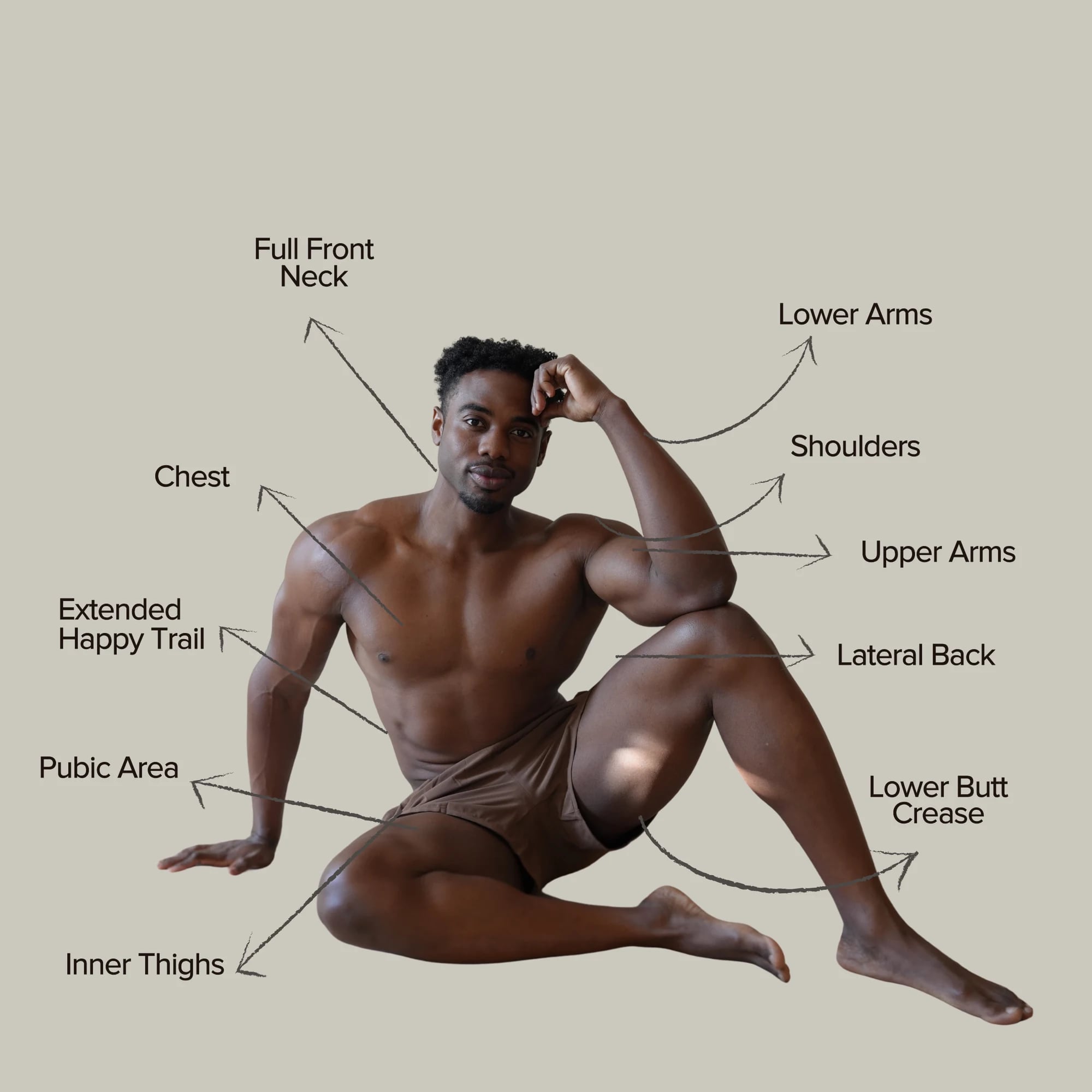 Medium areas for laser hair removal: Chest, Shoulders, Upper Arms, Lower Arms, Lateral Back, Inner Thighs, Pubic Area, Full Front Neck, Extended Happy Trail, Lower Butt Crease